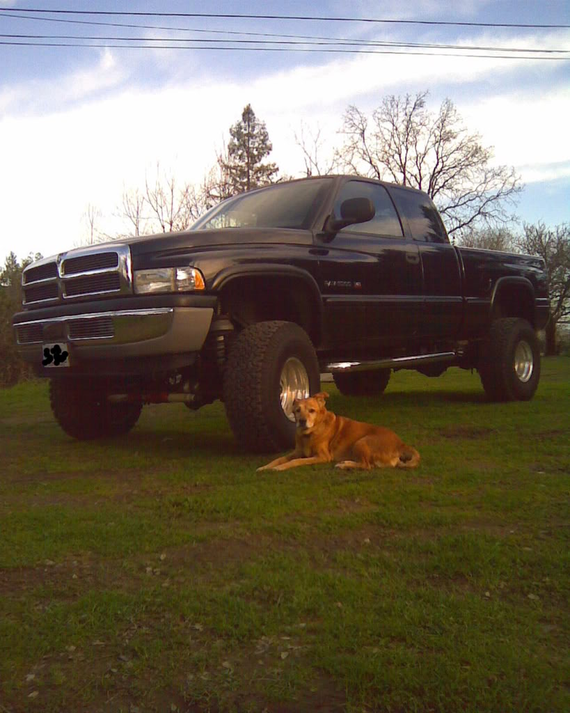 Name:  Truck1.jpg
Views: 145
Size:  117.3 KB