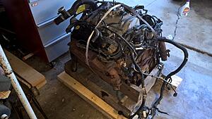 5.9 Engine Swap and Truck Pics!!!-6aho10a.jpg