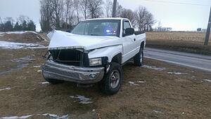 Dodge The Pole-325uzpa.jpg