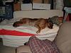 Zman-dscf0975_zpsac73c472.jpg