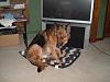 Zman-dscf0966_zpse245a104.jpg