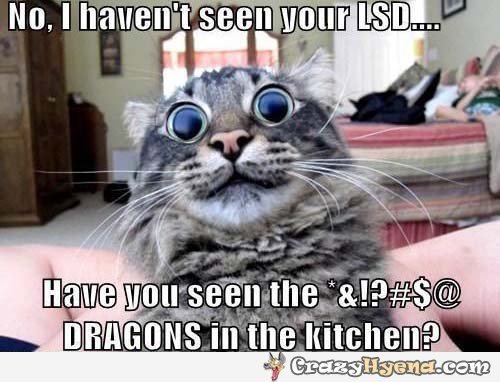 Name:  cat-see-lsd-dragons-pic_zps4rhgsnym.jpg
Views: 11
Size:  45.6 KB