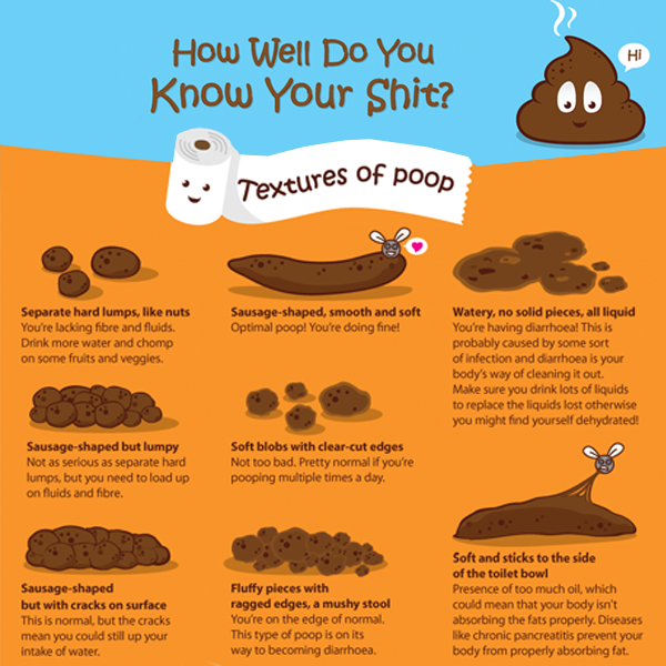 Name:  poop_zps3f427d6d.png
Views: 35
Size:  315.0 KB