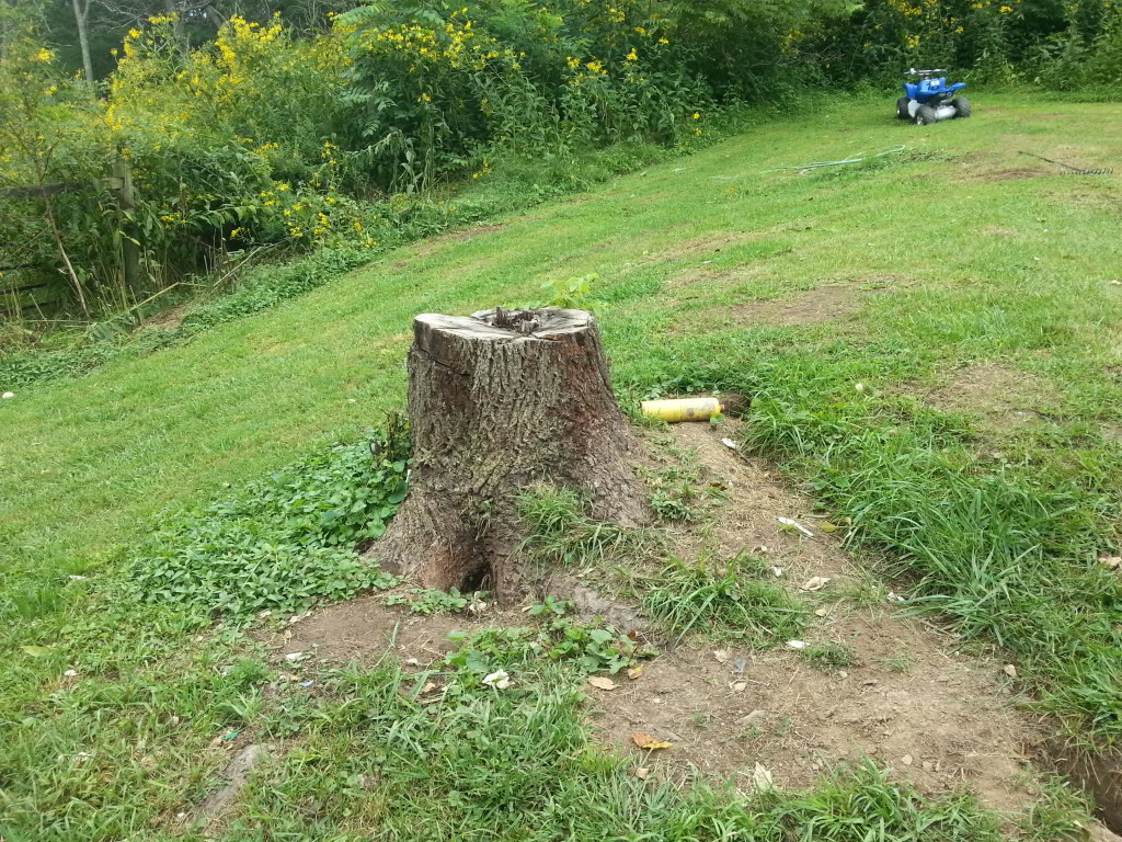 Name:  20130901_145007_zps19607bbf.jpg
Views: 33
Size:  354.7 KB