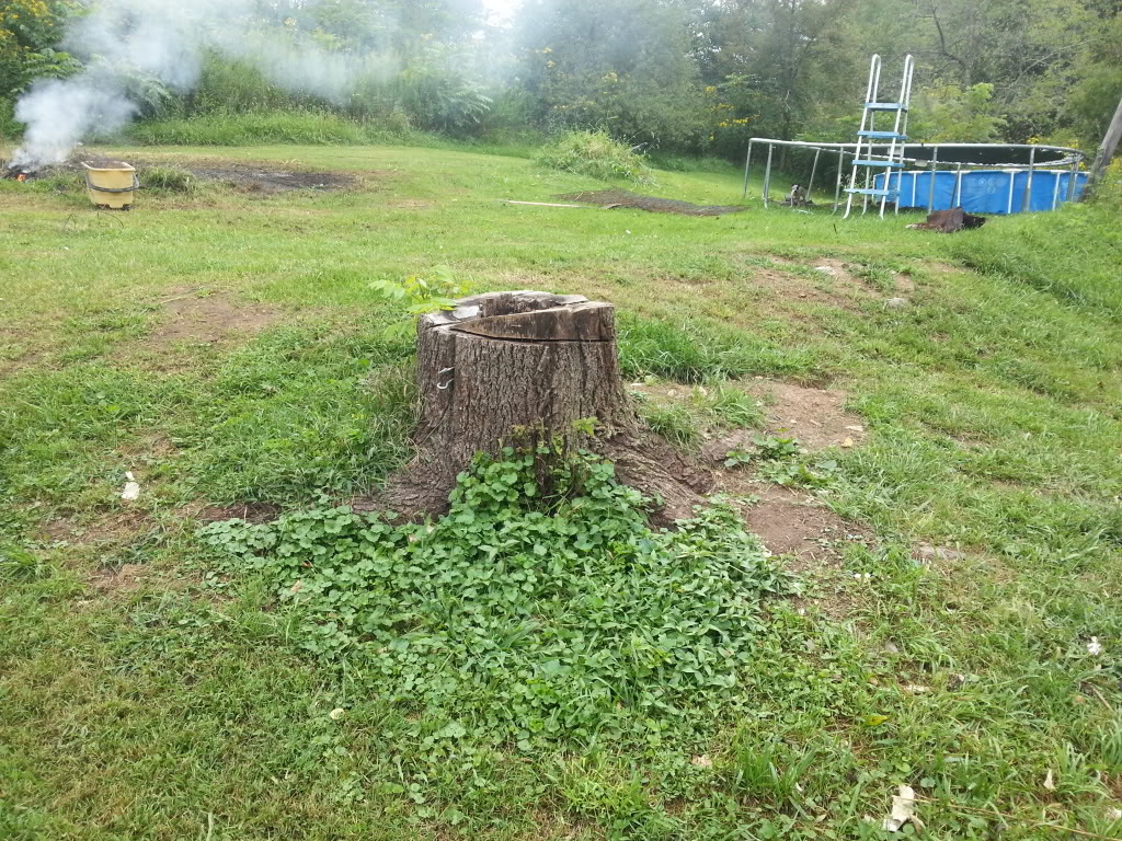 Name:  20130901_144954_zps7d2ecc64.jpg
Views: 35
Size:  336.8 KB