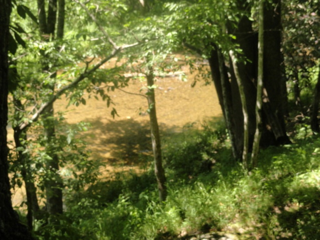 Name:  DSC09068.jpg
Views: 286
Size:  179.9 KB