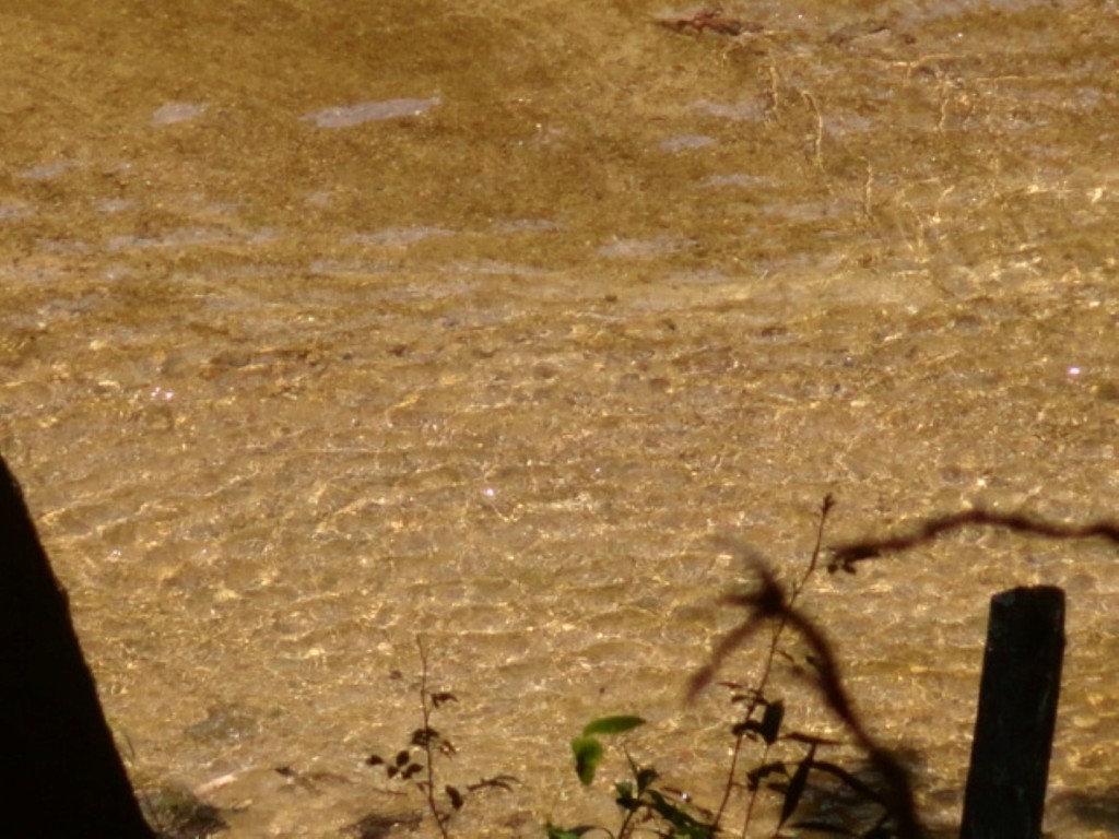Name:  DSC09065.jpg
Views: 286
Size:  176.9 KB