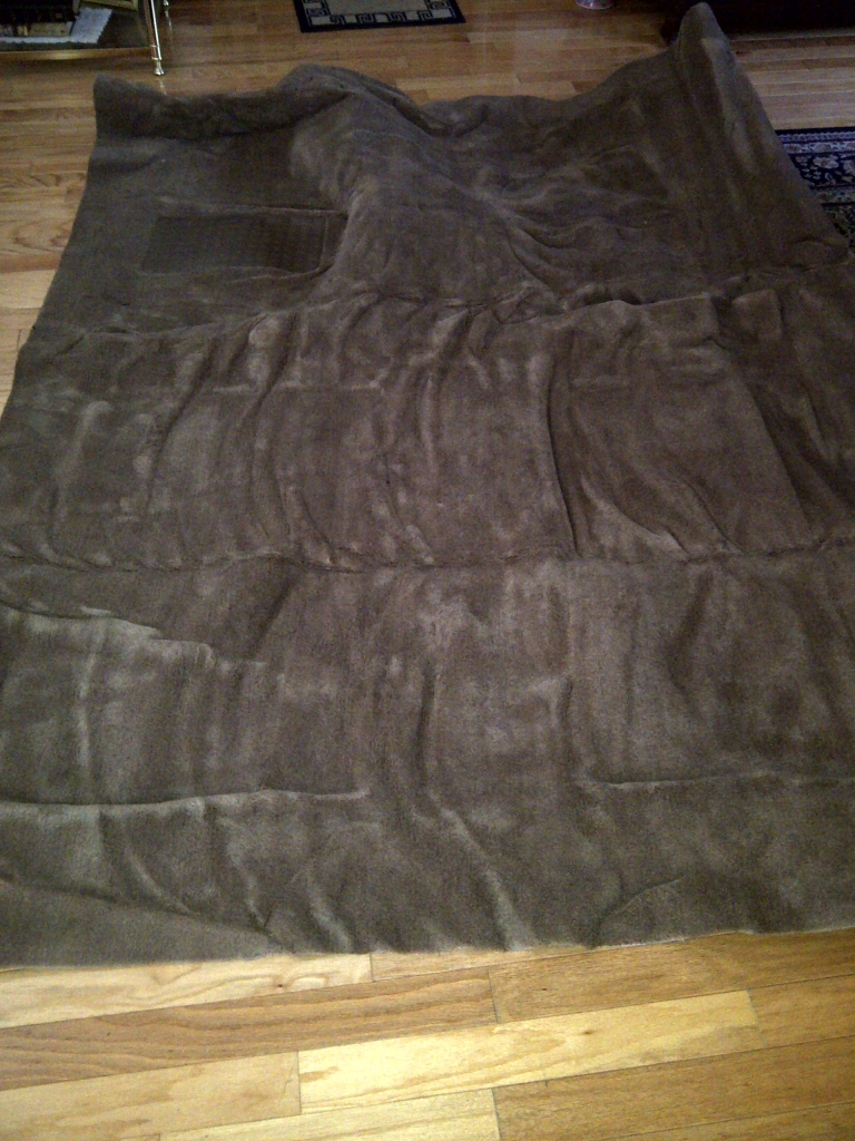 Name:  Ramnewcarpet.jpg
Views: 63
Size:  616.9 KB