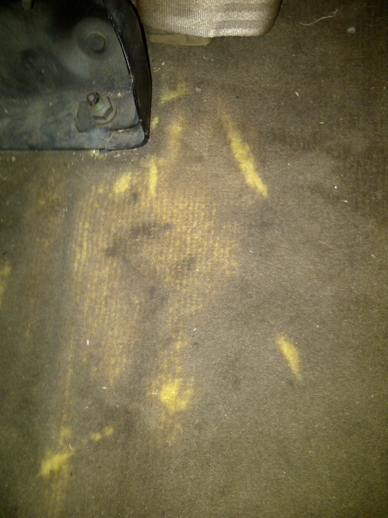 Name:  ramcarpetstains.jpg
Views: 79
Size:  606.2 KB