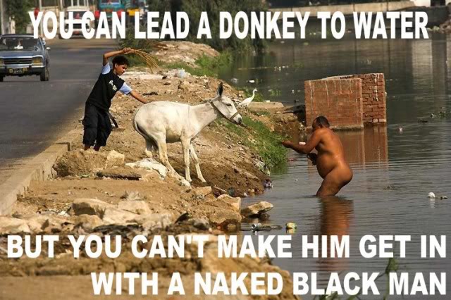 Name:  you-can-lead-a-donkey-to-water-640x426.jpg
Views: 17
Size:  75.7 KB