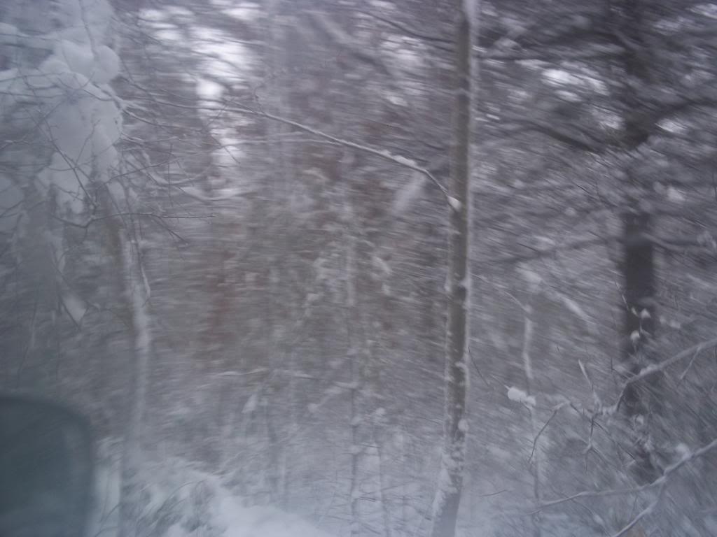 Name:  100_2041.jpg
Views: 60
Size:  68.7 KB