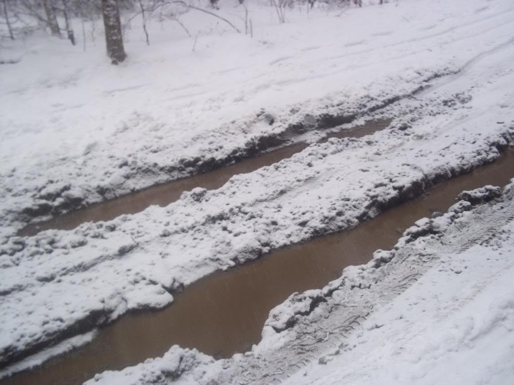 Name:  100_2076.jpg
Views: 51
Size:  78.9 KB