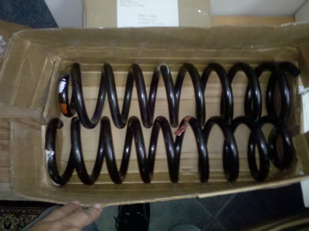 Name: liftsprings.jpg
Views: 47
Size: 98.9 KB