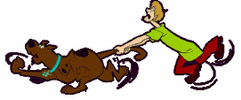 Name:  scooby-doo-shaggy-2.gif
Views: 46
Size:  9.1 KB