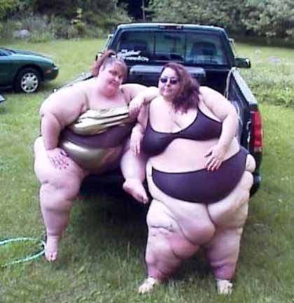 Name:  Fat-Chicks-726694.jpg
Views: 4997
Size:  64.5 KB