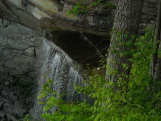Name:  DC219.jpg
Views: 37
Size:  23.2 KB