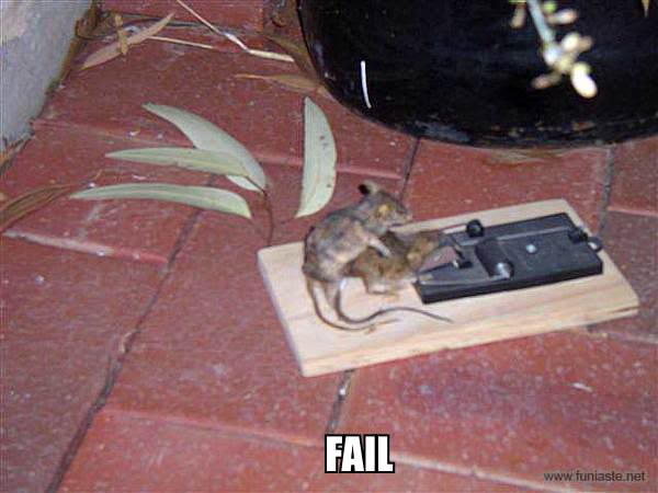 Name:  Fail.jpg
Views: 53
Size:  34.1 KB
