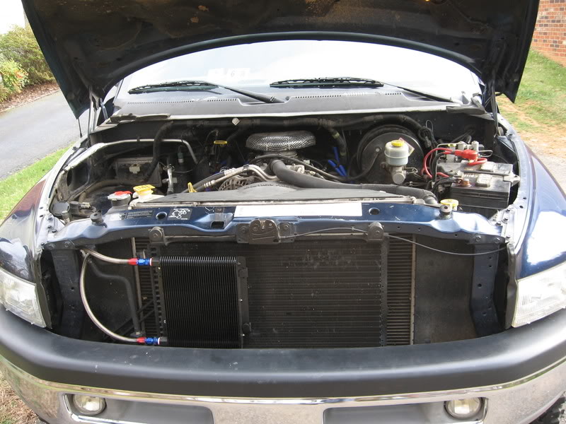 Name:  TruckMarch2708Piantedsocksandtin-4.jpg
Views: 205
Size:  98.8 KB