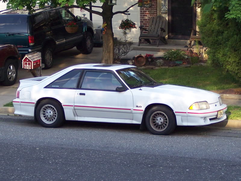 Name:  yard001.jpg
Views: 27
Size:  110.0 KB