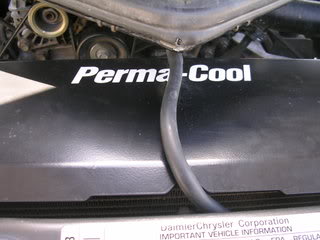 Name:  DSCN1971.jpg
Views: 19
Size:  15.9 KB