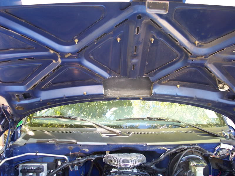 Name:  Finishedscoop013.jpg
Views: 27
Size:  104.3 KB