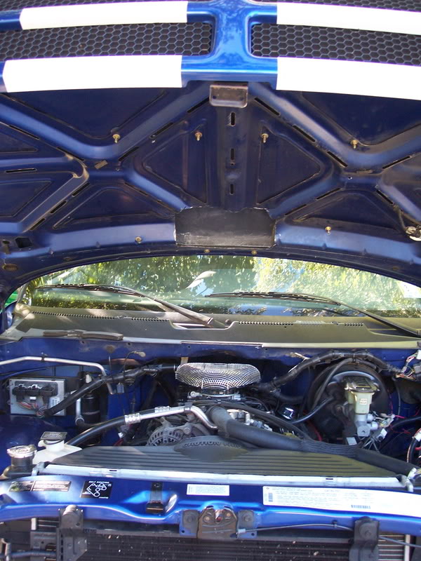 Name:  Finishedscoop014.jpg
Views: 59
Size:  115.4 KB