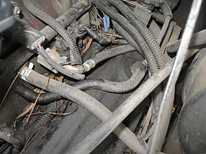 PCV Hose-4hqwbsk.jpg