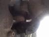 axle seal? D60-may18_001.jpg