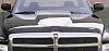 New hood?-701800.jpg