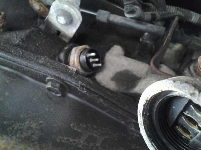 Name:  20120822_132131.jpg
Views: 36
Size:  202.9 KB