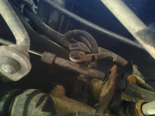 Name:  20120822_132257.jpg
Views: 36
Size:  221.7 KB
