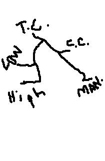 Name:  vac.jpg
Views: 69
Size:  8.1 KB