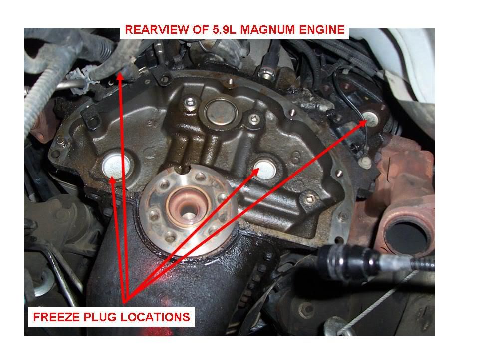 Name:  rear_freeze_plugs.jpg
Views: 58
Size:  93.8 KB