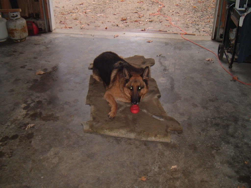 Name:  DSCF0619.jpg
Views: 107
Size:  111.9 KB