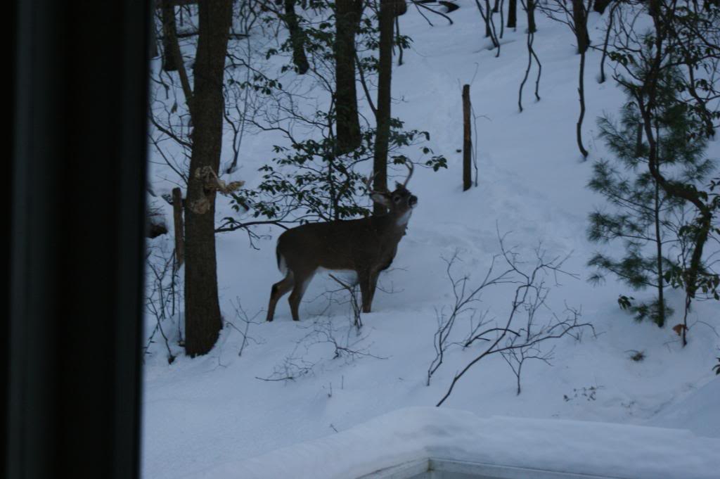 Name:  DSC00150.jpg
Views: 61
Size:  74.7 KB