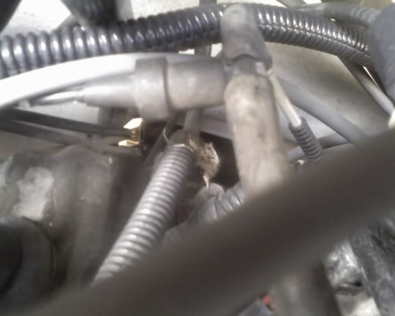Name:  vacuum003.jpg
Views: 173
Size:  41.3 KB