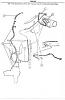 1999 Dodge Ram Parts Manual-vacuum-line-to-transfer-case.jpg