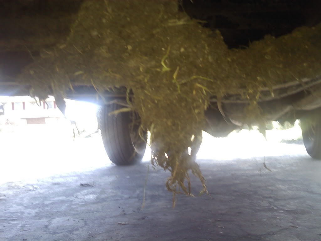 Name:  0319001553.jpg
Views: 25
Size:  76.9 KB
