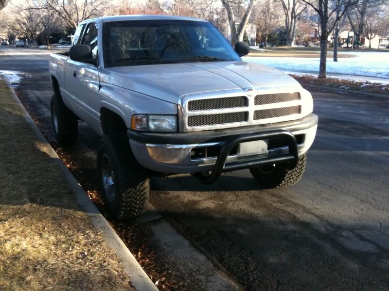 2001 dodge ram 1500 bull bar