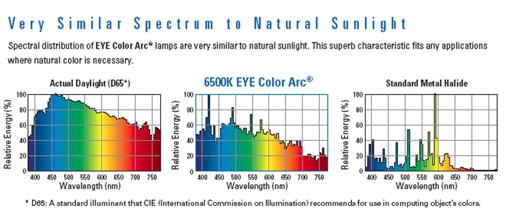 Name:  Spectrum_EYE.jpg
Views: 48
Size:  52.9 KB