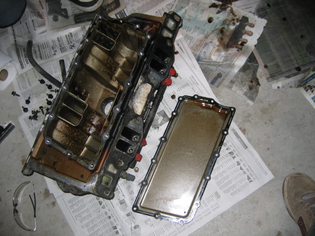 Name:  IMG_5965.jpg
Views: 30
Size:  170.5 KB