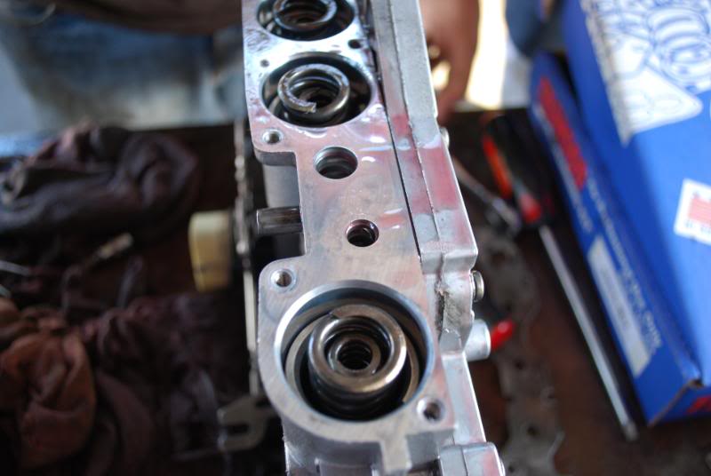Name:  DSC_0145.jpg
Views: 1089
Size:  53.4 KB