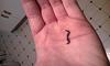 found this in my rear axle-securedownload.jpg