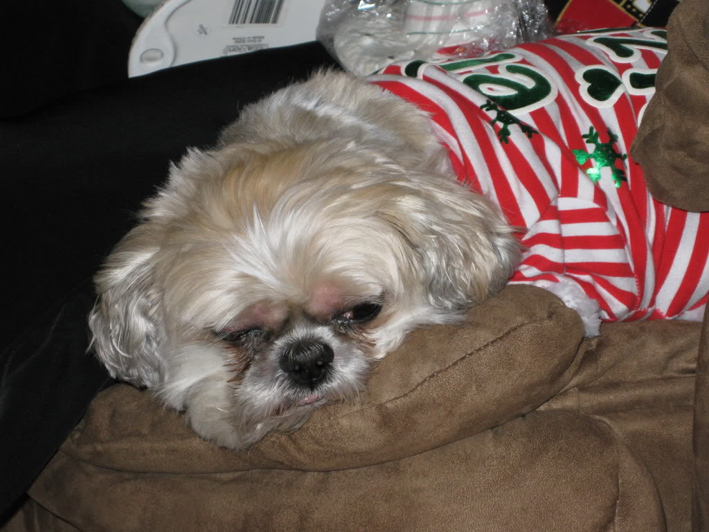 Name:  IMG_0065.jpg
Views: 65
Size:  138.8 KB