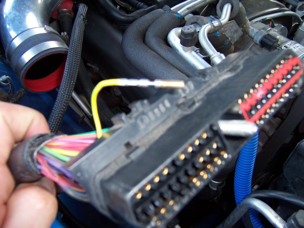Name:  remove20yellow20wire20with20green20.jpg
Views: 554
Size:  107.2 KB