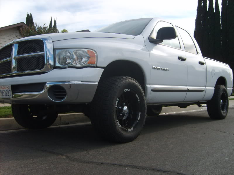 Name:  S5000373.jpg
Views: 55
Size:  102.3 KB