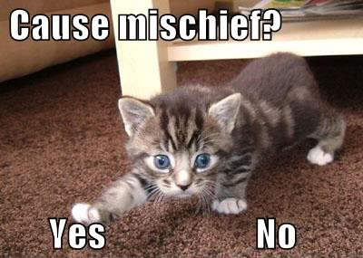 Name:  causemischiefyes.jpg
Views: 22
Size:  27.2 KB