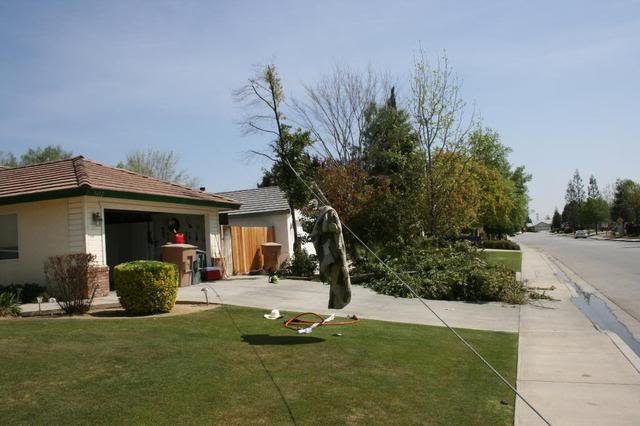 Name:  treedisaster002.jpg
Views: 117
Size:  46.4 KB