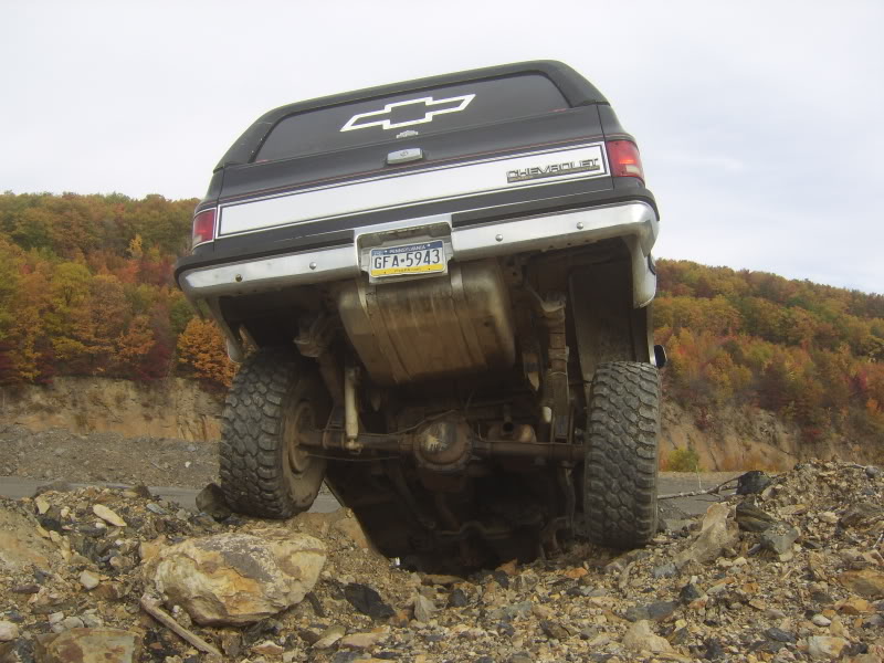 Name:  crawlin002.jpg
Views: 35
Size:  99.1 KB
