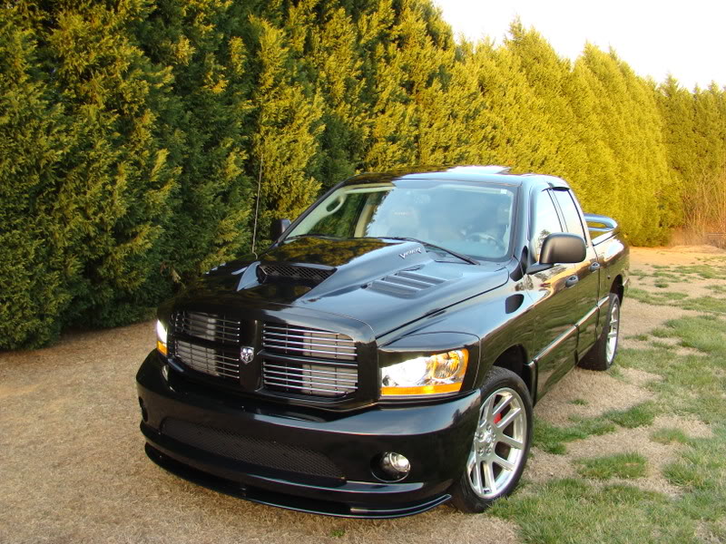 Name:  MYBROW-1011.jpg
Views: 27
Size:  152.3 KB